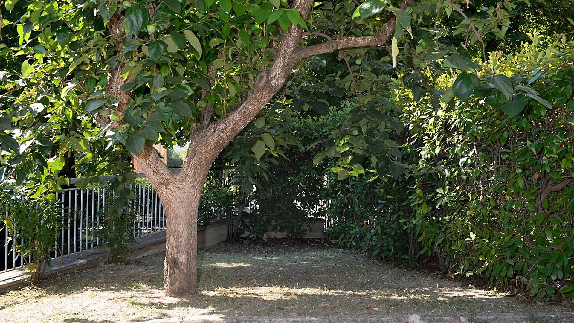 Apartmán La Casa Di Ambra Chianciano Terme Itálie
